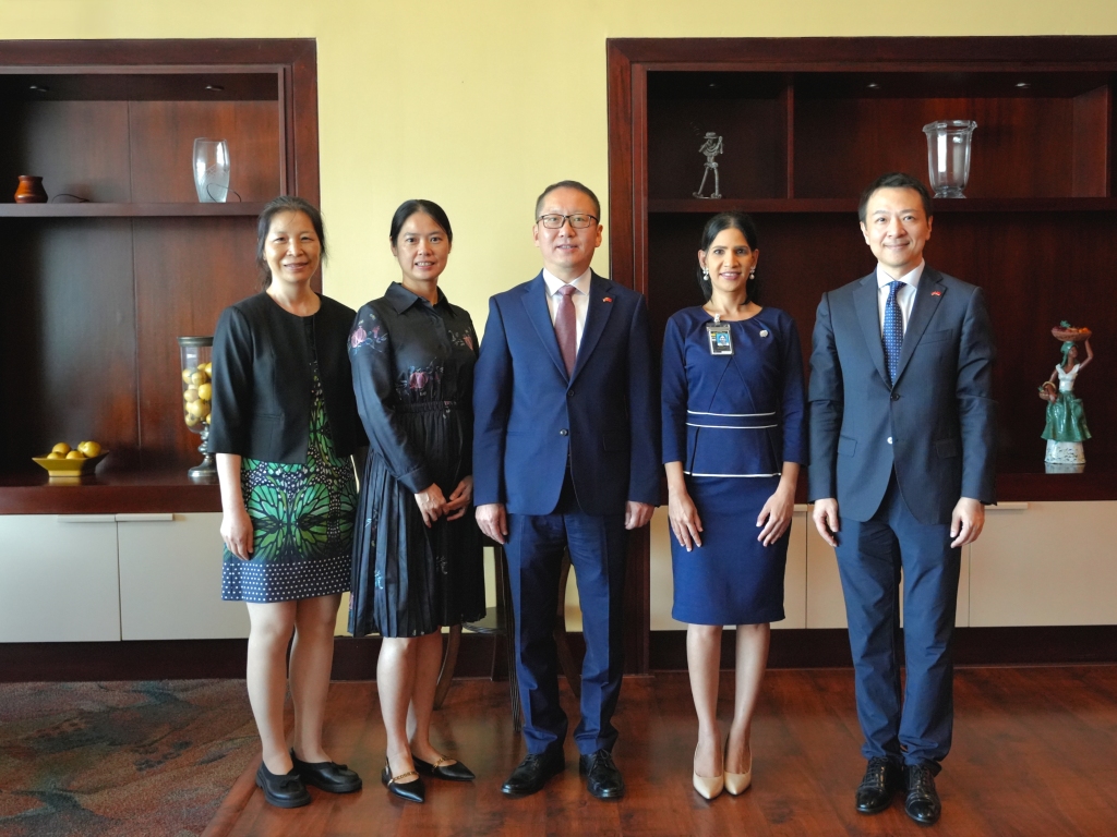 中国常驻联合国代表团公使任洪岩履新驻特立尼达和多巴哥大使