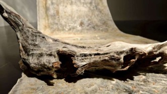 七位中外藝術(shù)家用創(chuàng)作探討“自然契約”