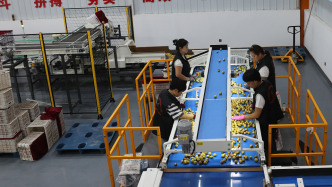 政策市场双驱动，上半年冷链物流运行稳中有进