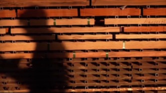 央視曝光紅木商品造假亂象，仙游縣連夜成立聯(lián)合調(diào)查組