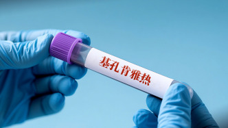 湖北多地宣布提供基孔肯雅熱免費檢測服務(wù)