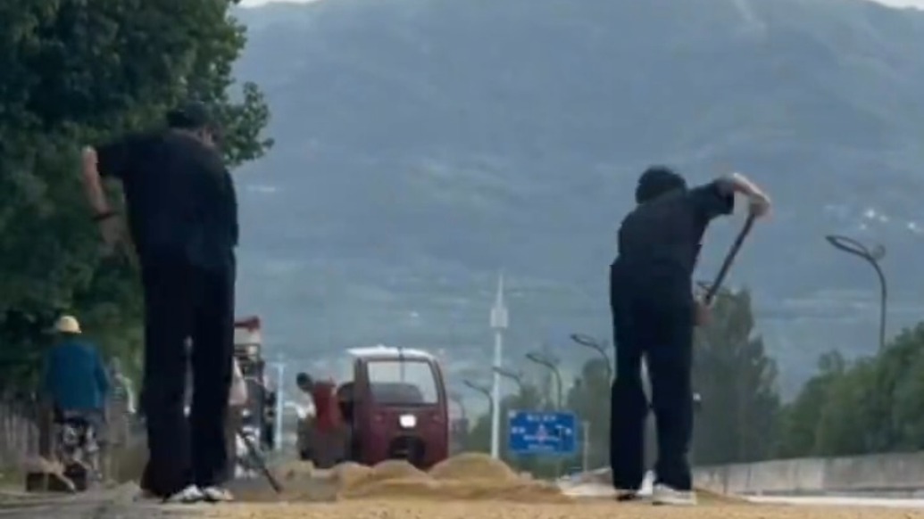 “別讓糧食被糟蹋！”兩小伙開車途中突降大雨，見老人搶收稻谷立即返回相助