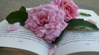 擅自超支宣發(fā)費(fèi)能提高發(fā)行收益，為何要由一方承擔(dān)不納入宣發(fā)成本？