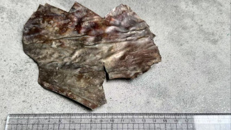 駝峰航線墜機(jī)謎蹤：80年后，打撈那段塵封的二戰(zhàn)往事