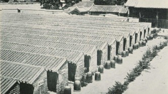 历史缝隙里的人︱击碎时代一粒沙：“小公务员”穆齐贤的沉默与爆发