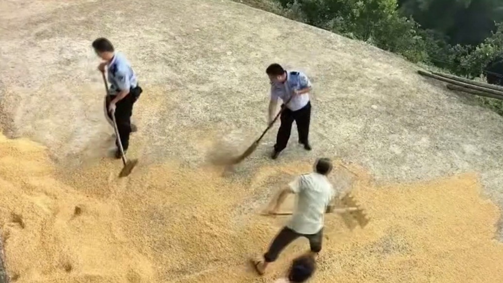 上門調(diào)解時遇降雨，民輔警幫農(nóng)戶收稻谷