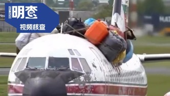 明查｜印度飛機(jī)機(jī)頂綁山羊？又雙叒叕是AI！