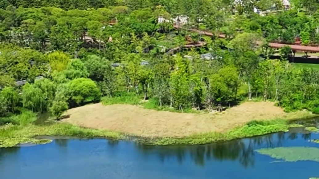 上海的第1000座公園，在哪里？有何特點？