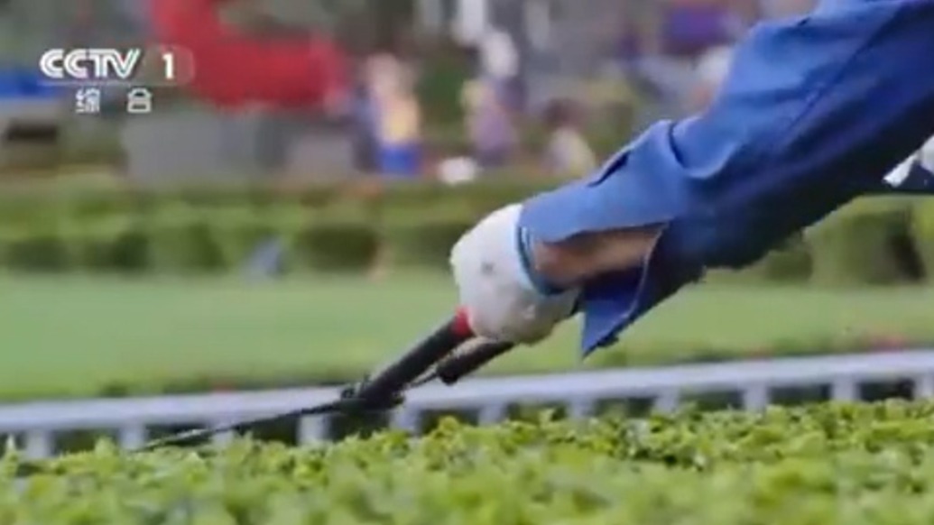 中央紀委：7月全國查處問題25420起，批評教育和處理32905人