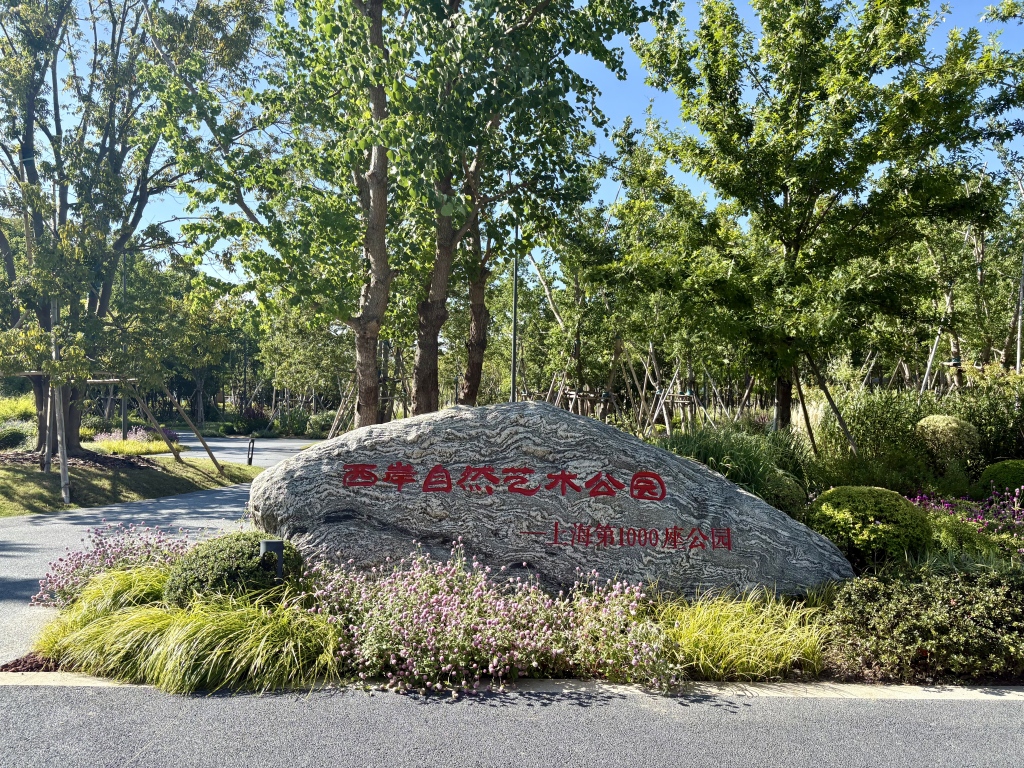 上海建成“千园之城”，公园离人更近了吗？