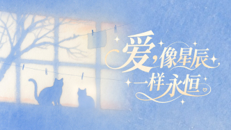 七夕｜愛，像星辰一樣永恒