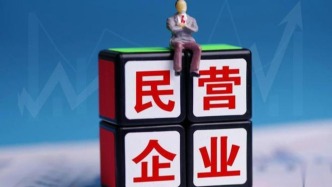 民營企業(yè)500強 含“新”量越來越高（經(jīng)濟聚焦）