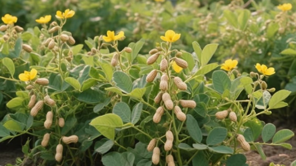 “花生上樹”的時(shí)代隱喻：AI照片挺進(jìn)現(xiàn)實(shí)