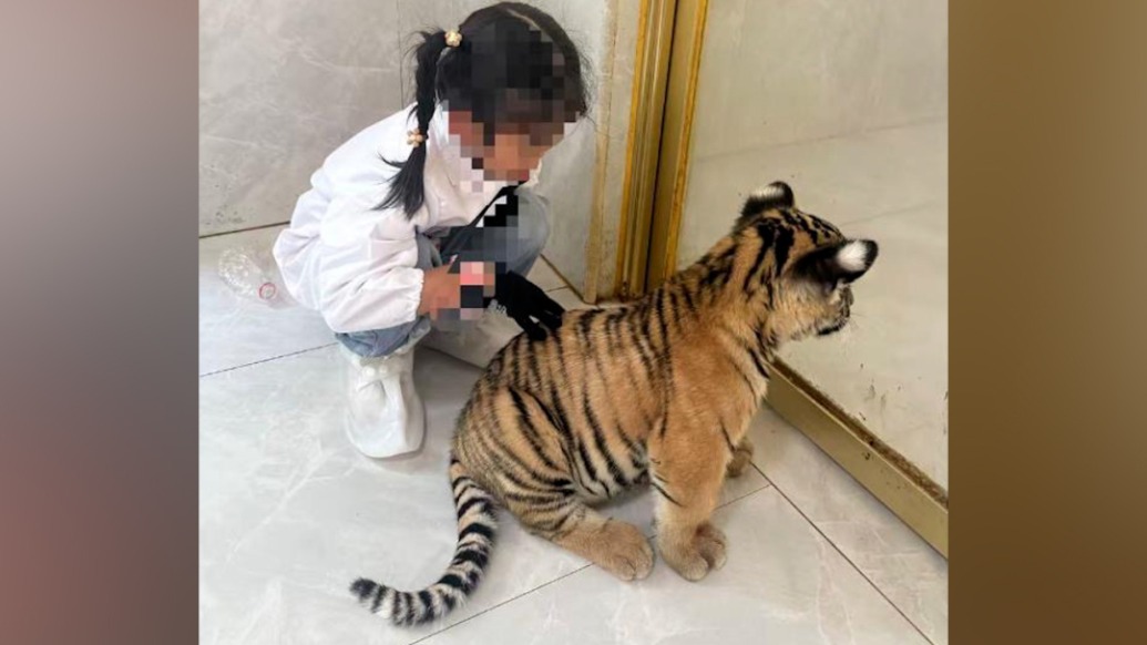 7歲女童在動物園被幼虎咬傷，廣西平南縣文旅局：后續(xù)工作正跟蹤協(xié)調(diào)