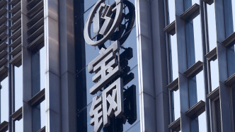 首個海外基地項目啟動4年何時開工？寶鋼股份董事長談鋼企“走出去”