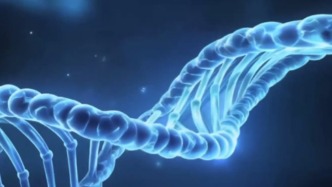 新發(fā)現(xiàn)+1！我國科學(xué)家揭示植物基因起源新機(jī)制