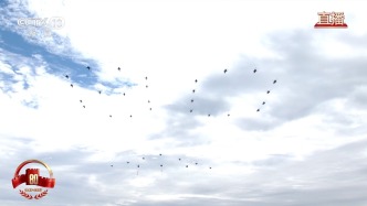 壯觀！空中梯隊組成“80”字樣，偉大抗戰(zhàn)精神不朽