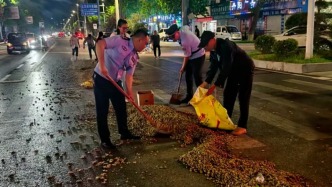 司机操作失误花生散落一路，附近众人出手帮忙