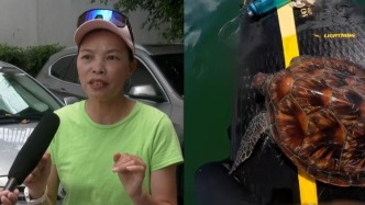 海上訓練時偶遇被漁網(wǎng)纏住的海龜，皮劃艇教練剪網(wǎng)助其脫困