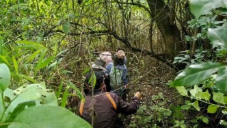媒體調查大理自閉癥“自然療愈”：爬野山、戒尺打屁股，有負責人稱無需資質