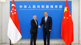 商務(wù)部部長(zhǎng)王文濤會(huì)見新加坡副總理兼貿(mào)工部長(zhǎng)顏金勇