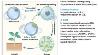 打破校史：贵州师范大学首次以第一单位在《细胞》发文