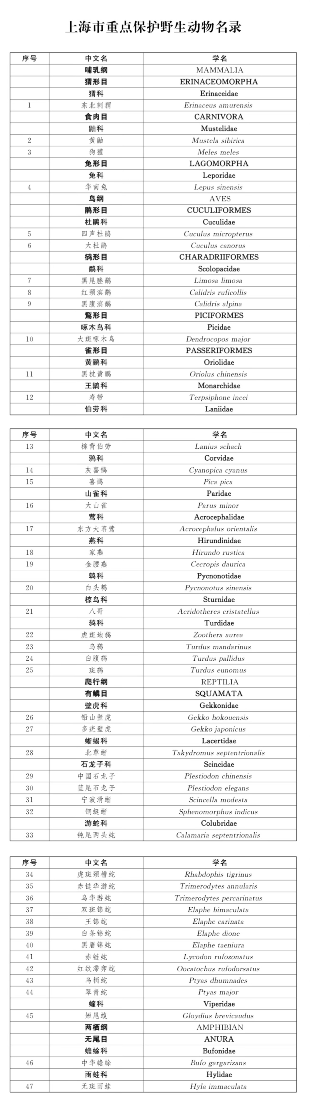 上海重点保护野生动物名录时隔32年首次调整，新增家燕、黄鼬等