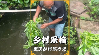 重慶鄉(xiāng)村旅行記：看老人采摘空心菜，真新鮮