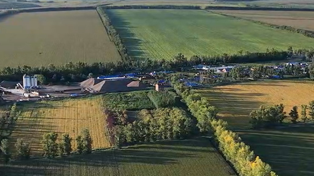 航拍白露節氣北大荒五谷豐登，無邊原野色彩斑斕