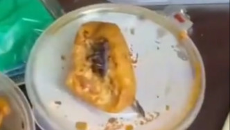 老板回應(yīng)黃燜雞吃出蟑螂：愿賠付666元，但顧客不同意