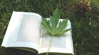 未收取全部制作費(fèi)前僅交付有水印格式文件，是否為交易習(xí)慣？