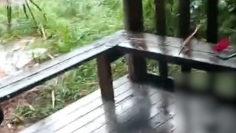 廣西柳州一公園涼亭遭雷擊，2名避雨游客傷勢較重已送醫(yī)