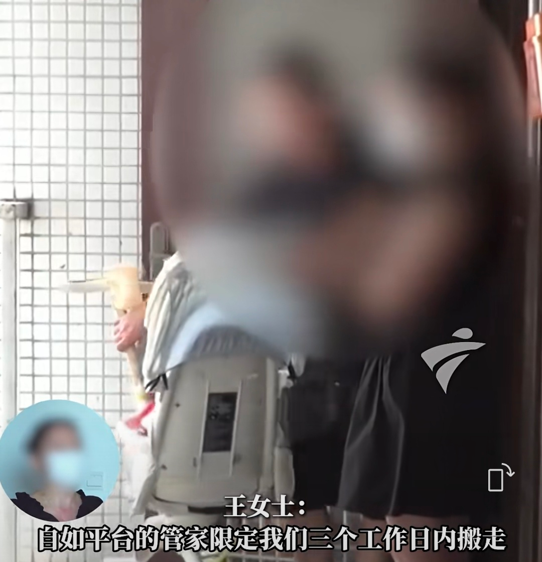 马上评｜夫妻合租生娃被赶出，合同至上还是生育友好？