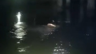 小區(qū)保安深夜跳河救落水女生，社區(qū)、物業(yè)將為其申請嘉獎