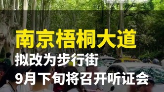 南京梧桐大道拟改为步行街，9月下旬将召开听证会