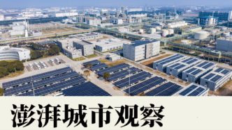 上海綠電消費大戶調(diào)研：需多元采購，將光伏建設融入產(chǎn)業(yè)發(fā)展