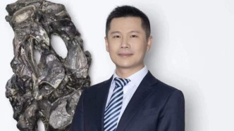 申萬(wàn)宏源研究所所長(zhǎng)王勝：太平洋另一邊的投資者也很看好中國(guó)