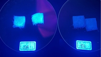 街邊餐館紙巾安全嗎？實測12 款紙巾1 包檢出問題