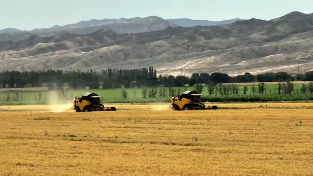 砥礪奮進七十載，天山南北譜華章｜新疆小伙回村承包1700畝地：中國人要把飯碗端到自己手里