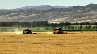 砥礪奮進(jìn)七十載，天山南北譜華章｜新疆小伙回村承包1700畝地：中國(guó)人要把飯碗端到自己手里