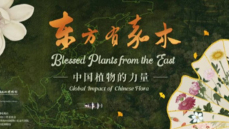在影像中感知自然與生命——看李成才導(dǎo)演用鏡頭對(duì)話植物