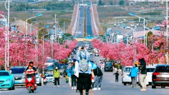 法治日?qǐng)?bào)：馬路成為短視頻直播秀場(chǎng)，如何有效治理？