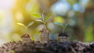 財(cái)政部：截至2025年6月末，超6成融資平臺(tái)實(shí)現(xiàn)退出