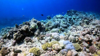 玉淵譚天丨中國在南海行政管理進(jìn)入新階段