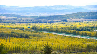 國務院辦公廳印發(fā)《“三北”工程總體規(guī)劃》
