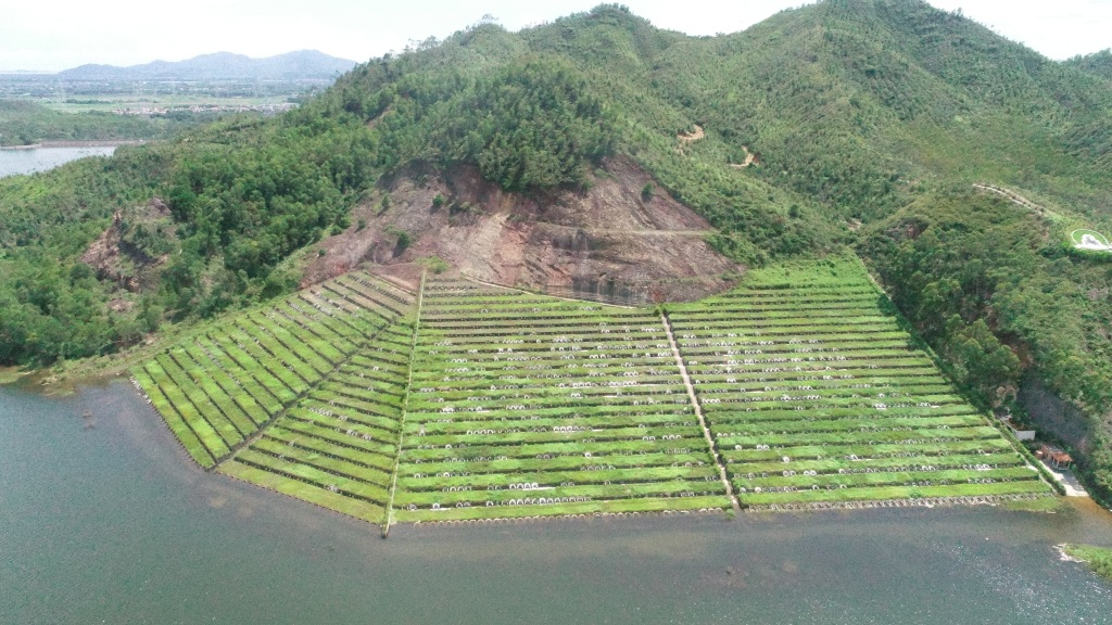 广东陆丰一墓园被查处后被指仍在销售，当地称已在着手处理