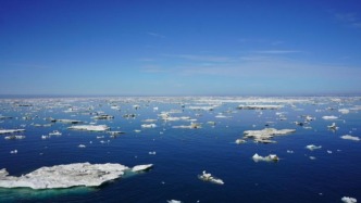 氣候變暖導(dǎo)致加拿大北極海域出現(xiàn)入侵物種藤壺