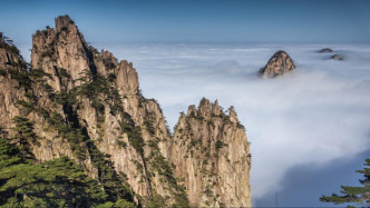 抗日烈士张蔚华之子张金泉逝世，享年93岁