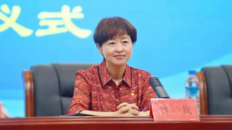 副厅级刘岚被公诉