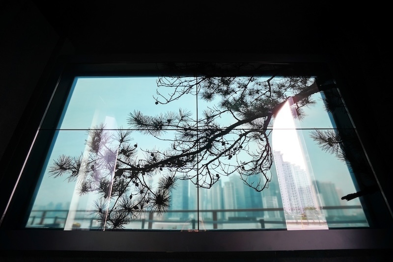 上海的艺术家们｜邱岸雄：从《新山海经》到当代山水之旅